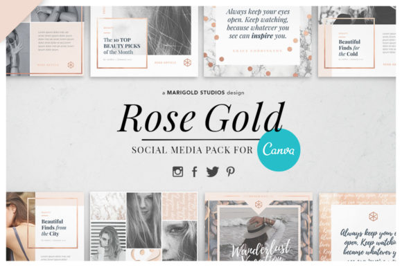 Download Canva &amp; PPT | Rose Gold Social Media - Premium Resources